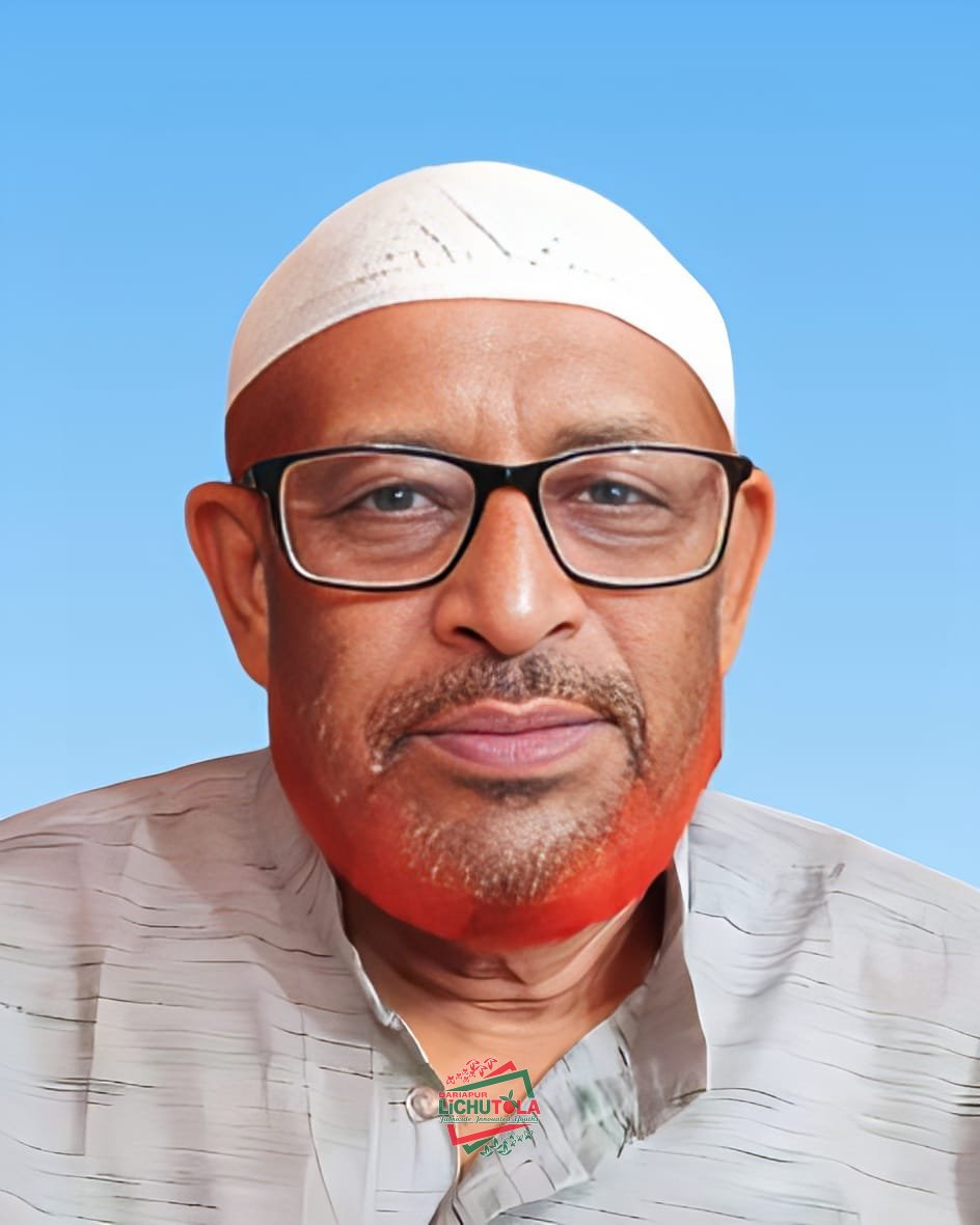 Ali Reza Bichu