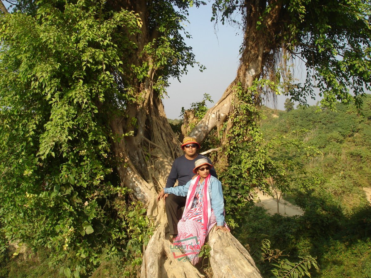 Cox's Bazar Tour