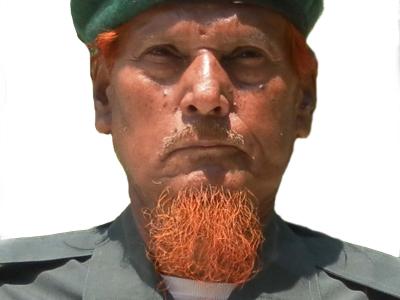 Hamidul Haque